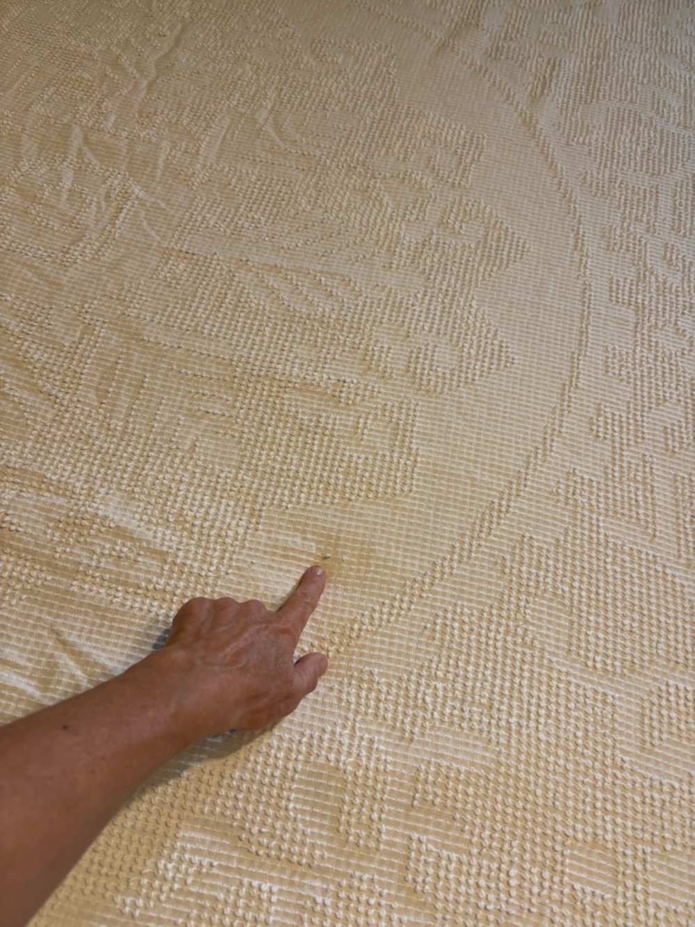 White Chenille Bedspread - Picture 4 of 9